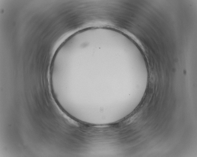 X0000069381343200606021557