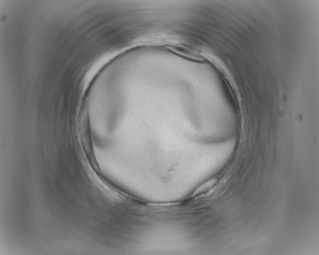 X0000069381344200606021557