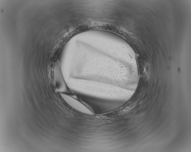 X0000069381348200606021556