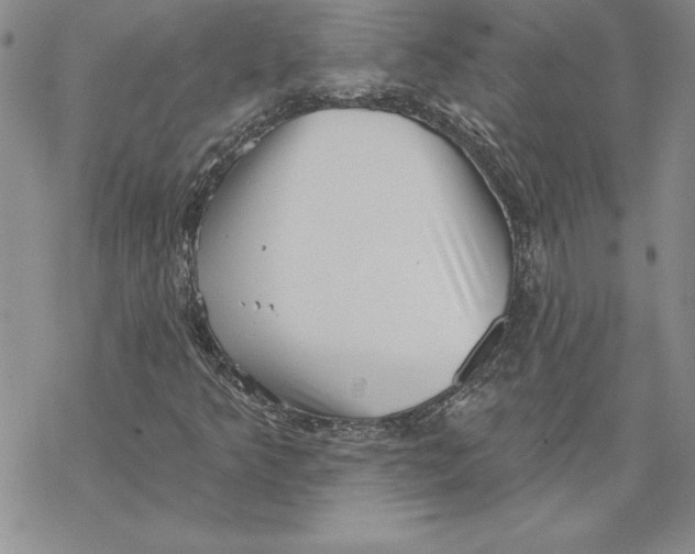 X0000069381349200606021556