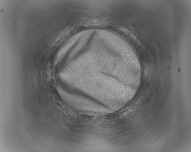 X0000069381350200606021556