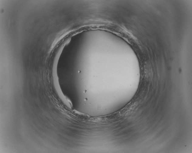 X0000069381352200606021556