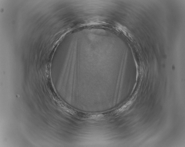 X0000069381353200606021556