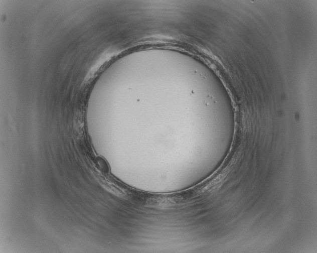 X0000069381355200606021556