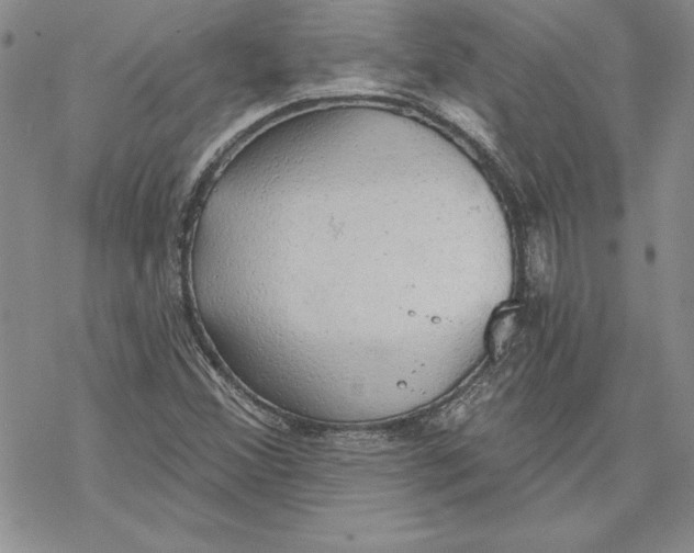 X0000069381356200606021556