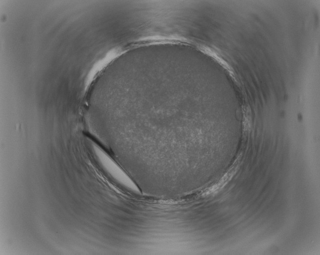 X0000069381357200606021556