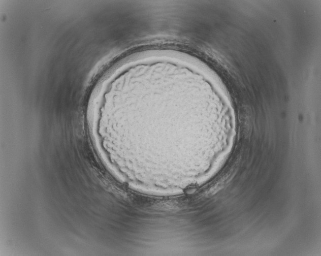 X0000069381358200606021556