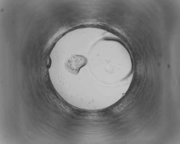 X0000069381359200606021556