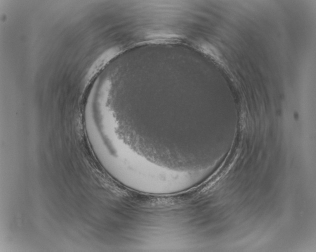 X0000069381362200606021556