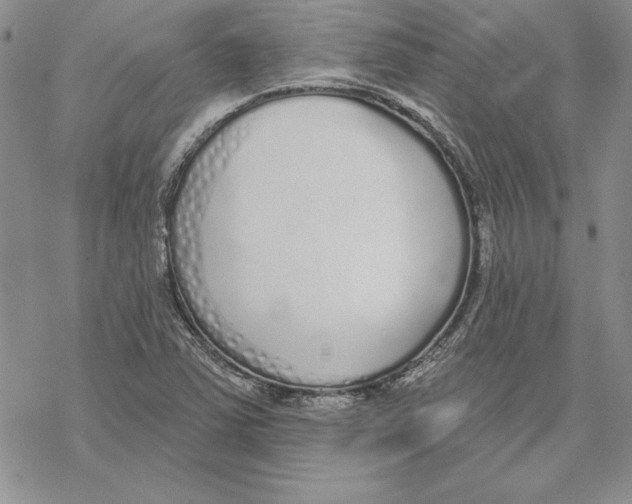 X0000069381363200606021556