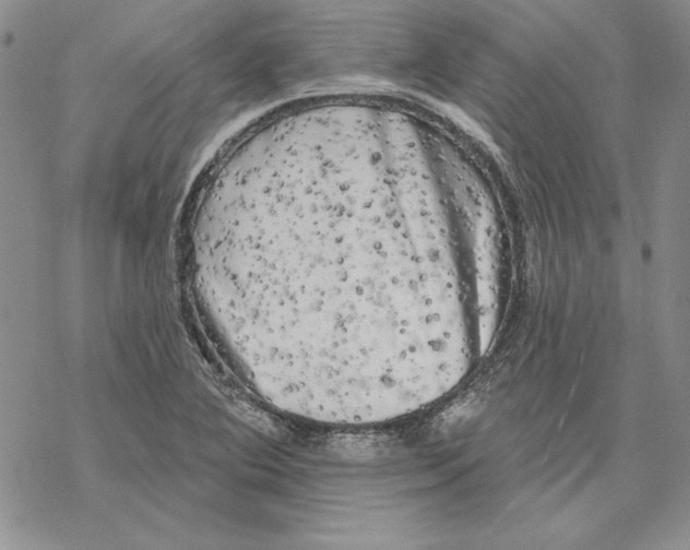 X0000069381364200606021556