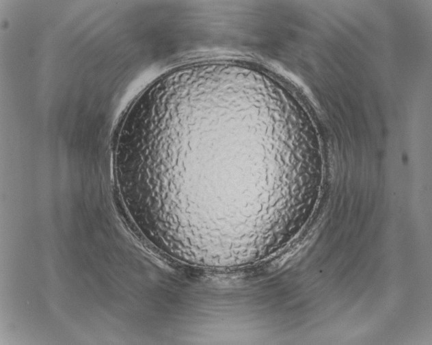 X0000069381365200606021556