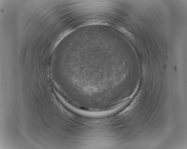 X0000069381369200606021556