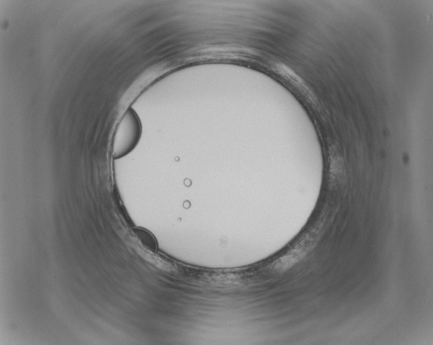 X0000069381370200606021556