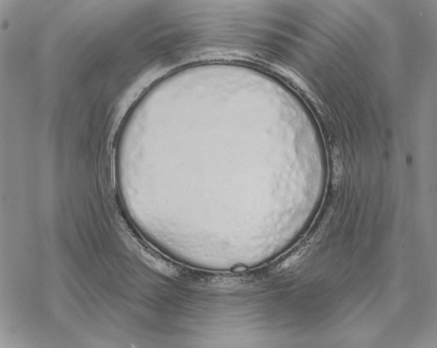 X0000069381371200606021556