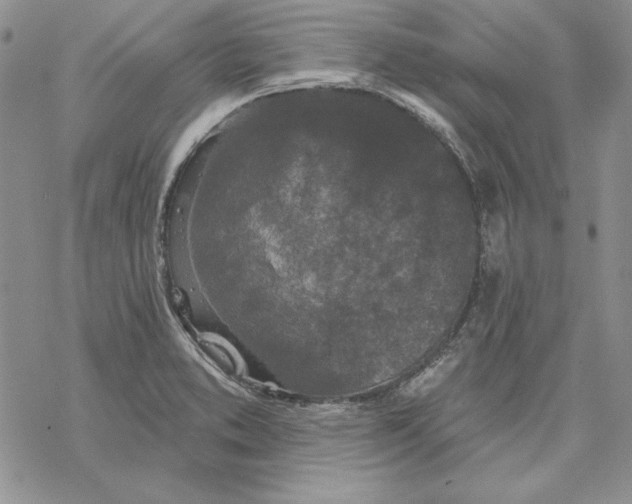 X0000069381373200606021556