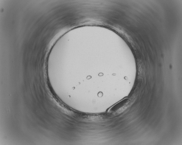 X0000069381375200606021556