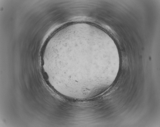 X0000069381376200606021556