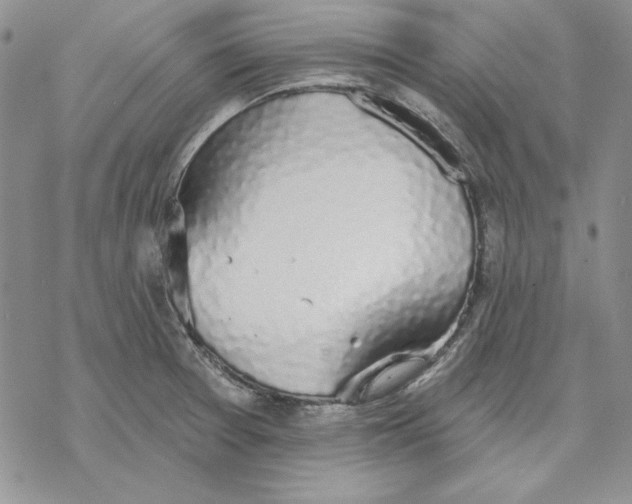 X0000069381377200606021556