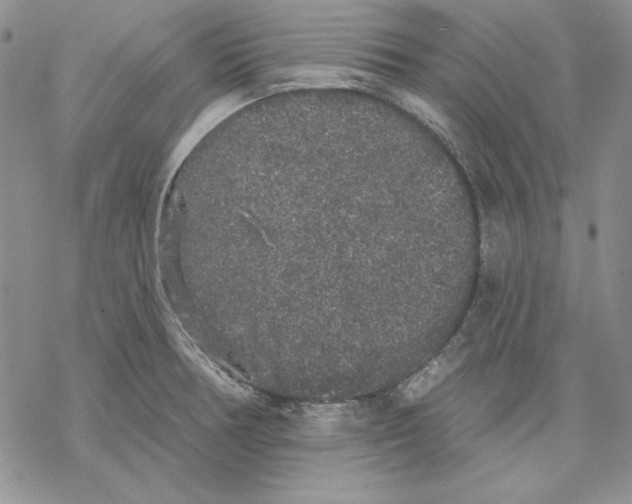 X0000069381378200606021556