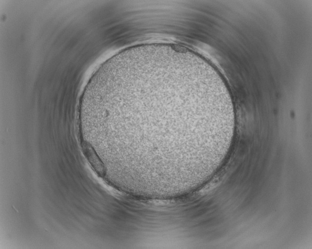 X0000069381379200606021556