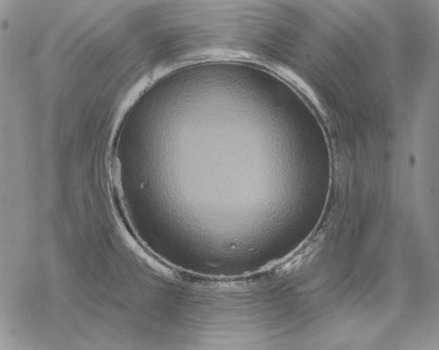 X0000069381381200606021556