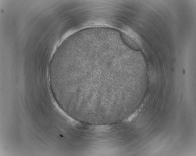 X0000069381382200606021556