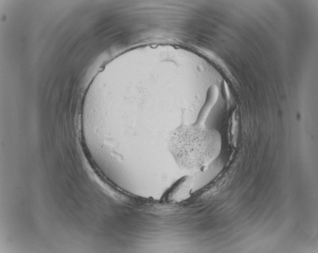 X0000069381383200606021556