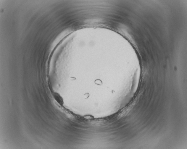 X0000069381386200606021556