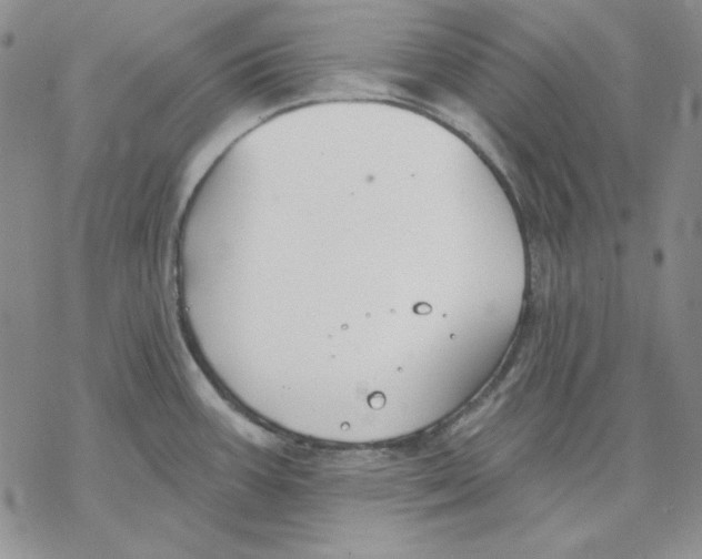 X0000069381387200606021556