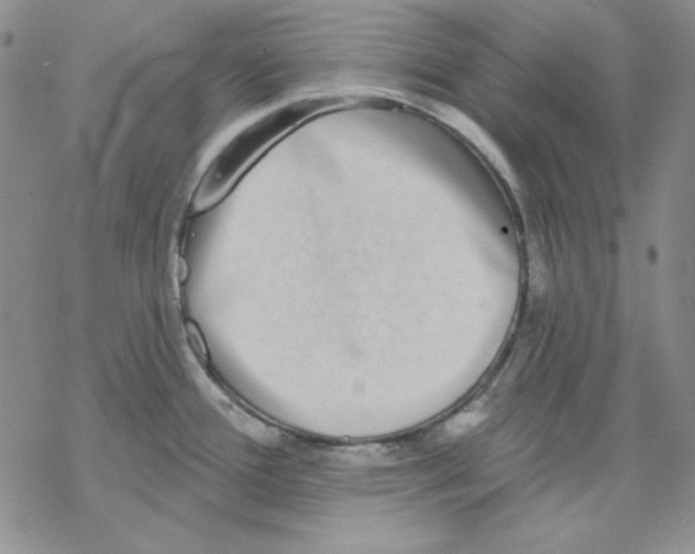 X0000069381388200606021556