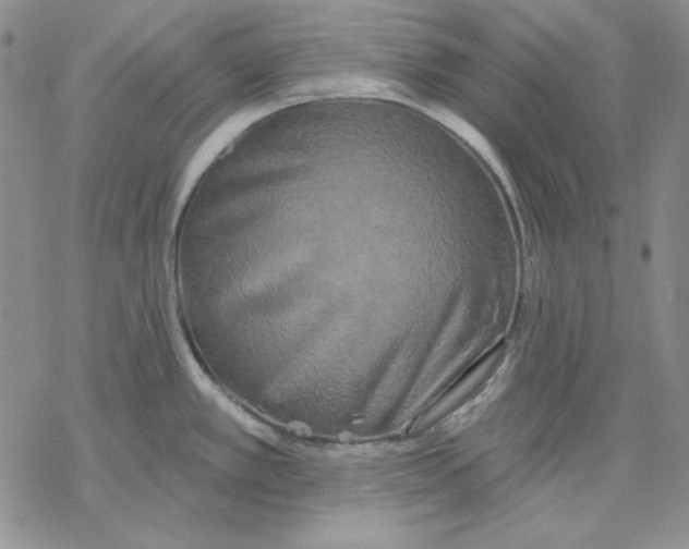 X0000069381389200606021556