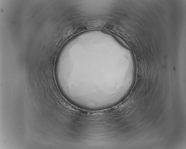 X0000069381393200606021555