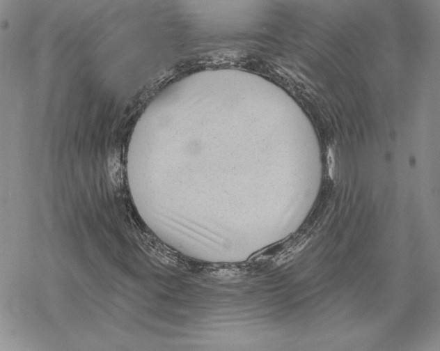 X0000069381395200606021555