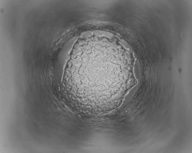 X0000069381397200606021555