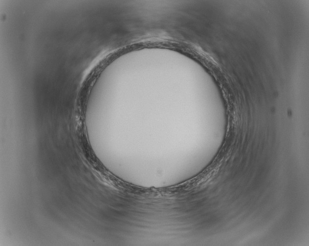 X0000069381400200606021555