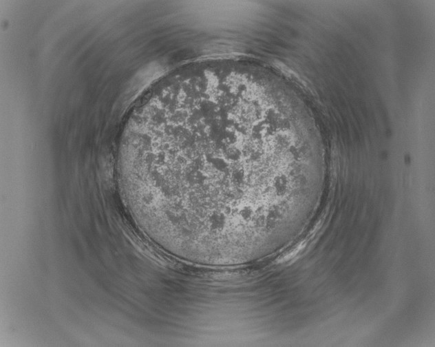 X0000069381401200606021555