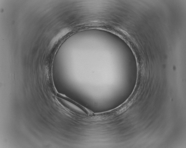 X0000069381402200606021555