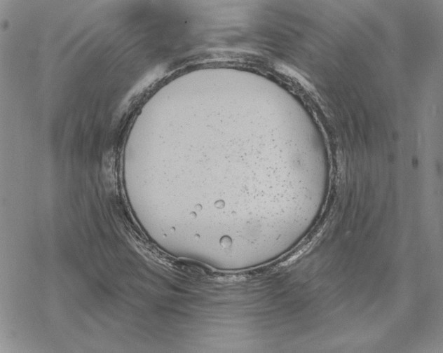 X0000069381403200606021555