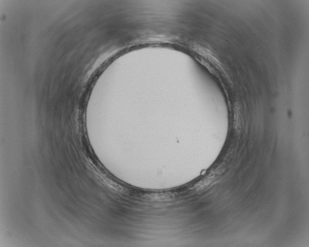 X0000069381404200606021555