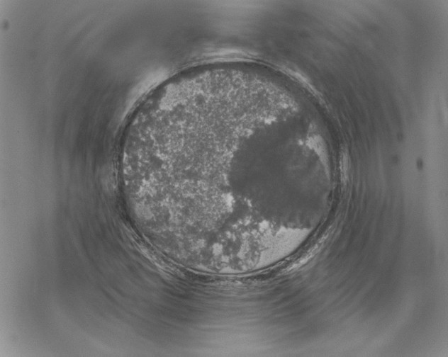 X0000069381405200606021555