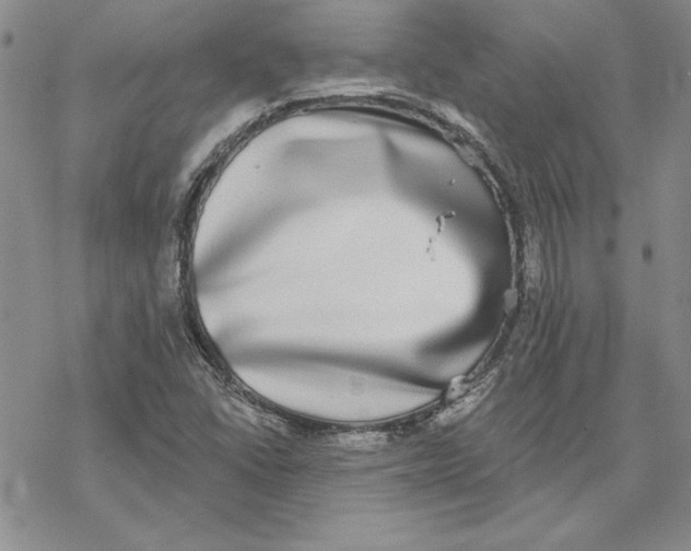 X0000069381406200606021555