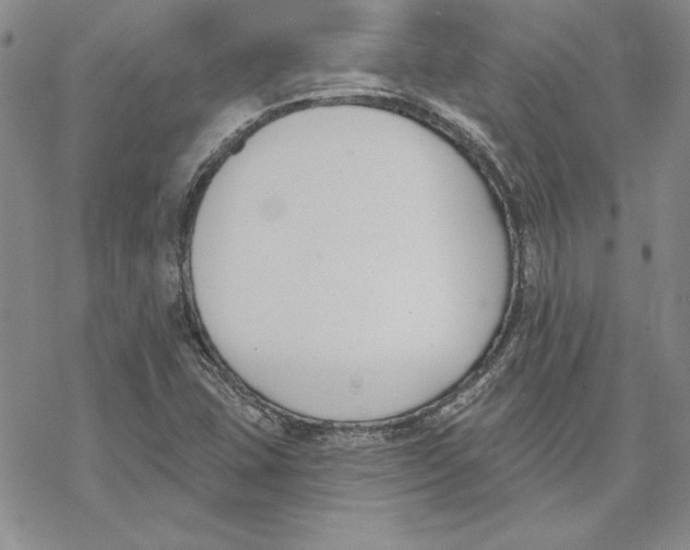 X0000069381407200606021555