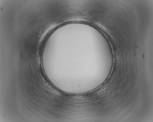 X0000069381408200606021555