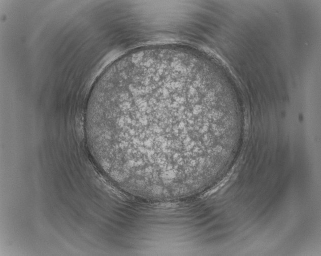 X0000069381409200606021555