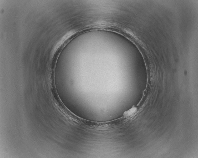 X0000069381410200606021555