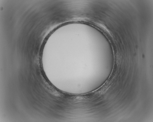 X0000069381412200606021555