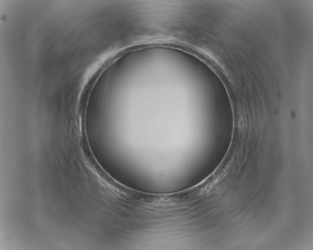 X0000069381414200606021555