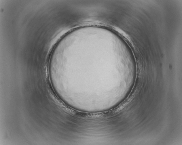 X0000069381415200606021555