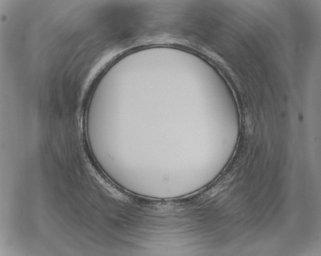 X0000069381416200606021555